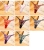 11.webp