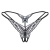 3.webp