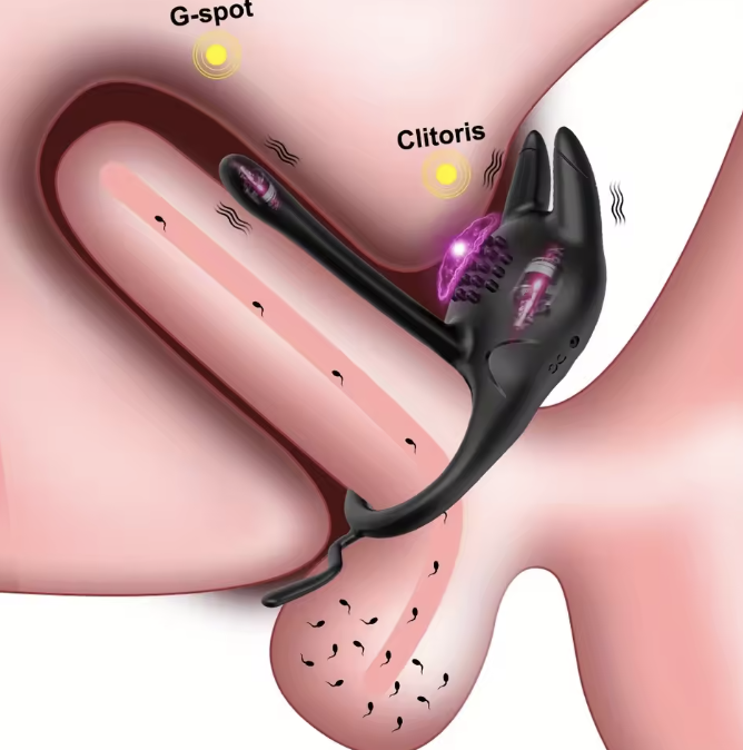 dybcia